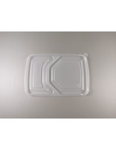 Bento Trays with Lid 2