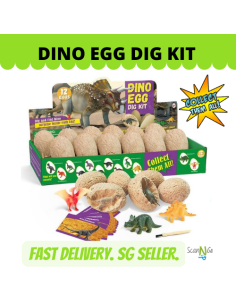 12 pcs DINO EGG Dinosaur Fossils Archaeological Science... 2
