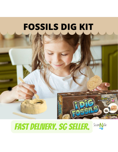 12 pcs FOSSILS Dinosaur Fossils Archaeological...