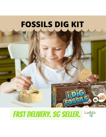 12 pcs FOSSILS Dinosaur Fossils Archaeological Science STEM Educational Toy Kit