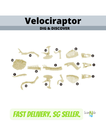 Dinosaur Fossils VELOCIRAPTOR Archaeological Science STEM Educational Toys Digging Kit Jurassic