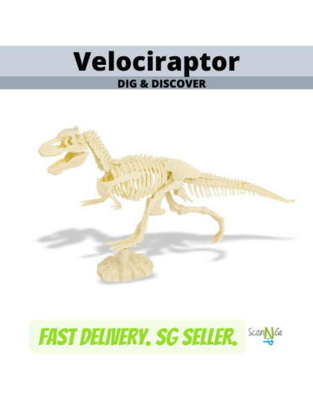 Dinosaur Fossils VELOCIRAPTOR Archaeological Science STEM Educational Toys Digging Kit Jurassic