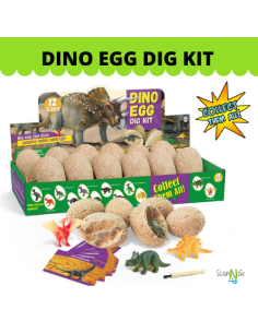 12 pcs DINO EGG Dinosaur Fossils Archaeological Science...