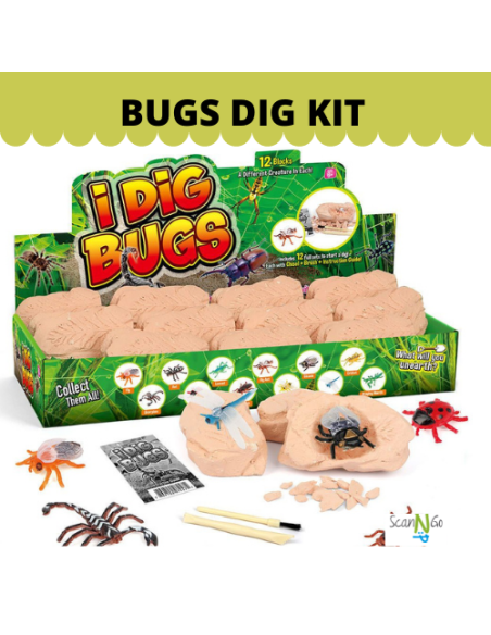 12 pcs BUGS Dinosaur Fossils Archaeological Science STEM Educational Toy Kit