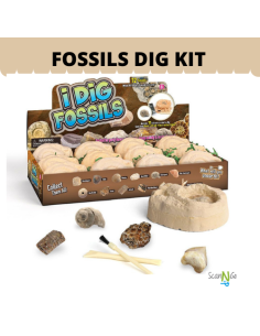 12 pcs FOSSILS Dinosaur Fossils Archaeological Science...