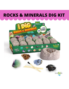 12 pcs ROCKS & MINERALS Archaeological Science STEM...