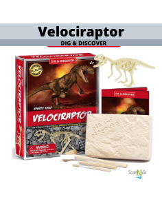 Dinosaur Fossils VELOCIRAPTOR Archaeological Science STEM...