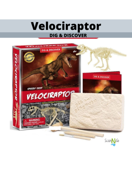 Dinosaur Fossils VELOCIRAPTOR Archaeological Science STEM Educational Toys Digging Kit Jurassic