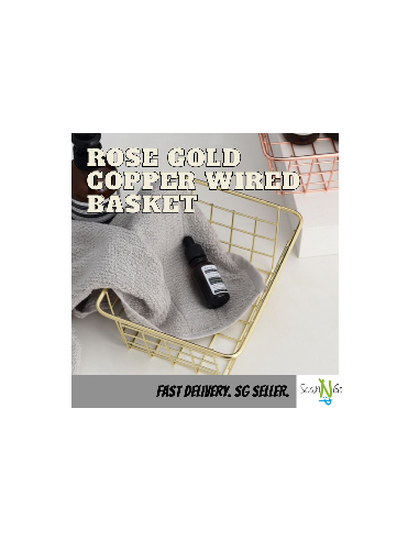 Rose Gold Basket Copper Wired Storage